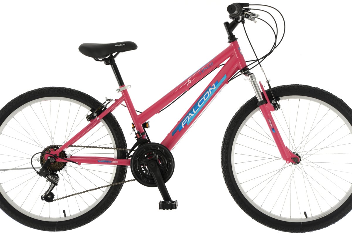 Girls 24 inch bike hot sale pink