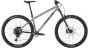 Transition Transam 2025 Bike