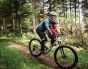 Kids Ride Shotgun Childs Bike Seat & Handlebars