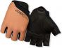Giro Jag 2026 Short Finger Gloves