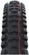Schwalbe Big Betty Evo Super Trail Soft TLE 29-Inch Tubeless Tyre