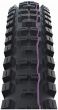 Schwalbe Big Betty Evo Super Downhill TLE 29-Inch Tubeless Tyre
