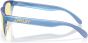 Oakley Frogskins XS Youth Sunglasses