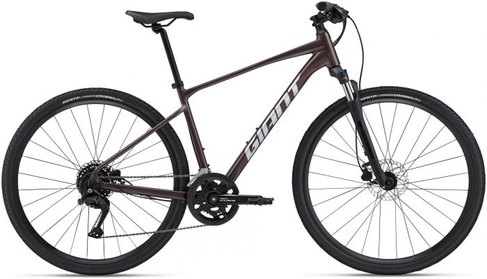 Giant Roam Disc 2 2024 Bike