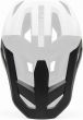 Fox Rampage Helmet Visor