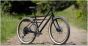 Marin Larkspur 2 27.5 2024 Bike