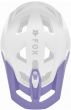 Fox Speedframe Pro Backfade Helmet Visor