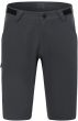 Giro Arc Shorts