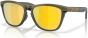 Oakley Frogskins Range XL Sunglasses