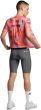 Assos Equipe R S11 A50 Anniversary Bib Shorts
