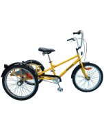 Probike XT-900 Industrial 2022 Tricycle
