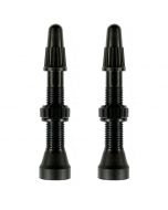 Campagnolo Tubeless Valves