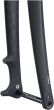 Ritchey WCS Carbon Disc Tapered MTB Fork