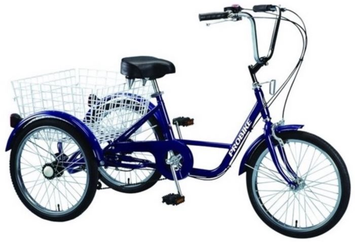 ProBike 20-Inch 2024 Tricycle