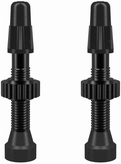 WTB Presta TCS Tubeless Valve