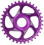 Hope R22 Shimano E-Bike Spiderless Retainer Chainring