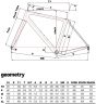 Cinelli King Zydeco II Frameset