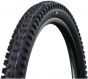Schwalbe Tacky Chan Gravity Pro Ultra Soft TLR 29-Inch Tubeless Tyre