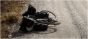 Restrap Switch Direct Mount Pannier Rack