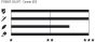 Connex 8SE 8-Speed Chain