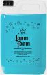 Peaty's Loamfoam Bike Cleaner