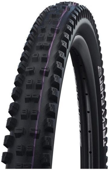 Schwalbe Tacky Chan Evo Super Trail Tubeless 29-Inch Tyre