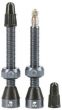 Tubolight Tubeless Valves
