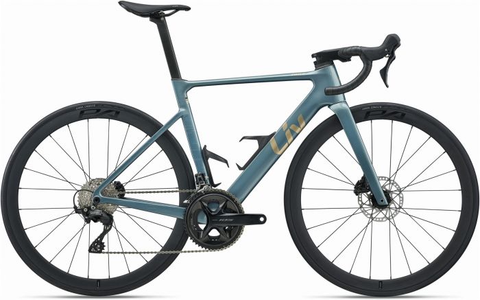 Liv Envi Advanced 2 2027 Womens Bike