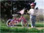 Huffy Princess 14-Inch 2026 Kids Bike