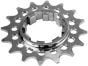 Gusset Campy Single Speed Sprockets