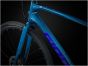 Giant FastRoad 1 2024 Bike