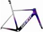 Giant Propel Advanced SL Team 2026 Frameset
