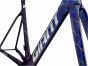 Giant Propel Advanced SL 2026 Frameset
