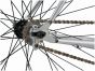 Cinelli Tutto Plus Bike