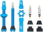 Wolf Tooth Tubeless Valve Stems