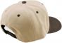Troy Lee Curved Imprint Snapback Hat