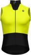 Assos Equipe R Spring Fall S11 Gilet