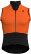 Assos Equipe R Spring Fall S11 Gilet