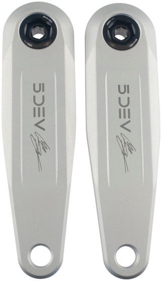 5DEV Cam Zink E-Bike Crank Arm Set – Raw Silver