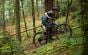 Whyte T-140 S Trail V2 Bike