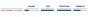 Schwalbe Big Betty Evo Super Downhill TLE 29-Inch Tubeless Tyre