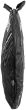 Scicon Sports Padded Single Wheel Bag
