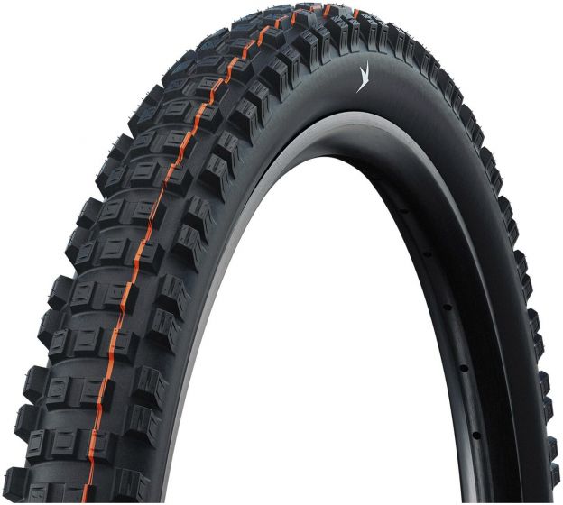 Schwalbe Eddy Current Gravity Pro Radial TLR 29-Inch Tubeless Tyre