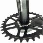Praxis MTN DM1X Steel Chainring
