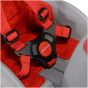 WeeRide Safe Child Seat