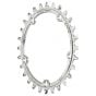 Wolf Tooth Camo Chainring