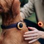 Magicshine Scoutlite Blinko Safety Light