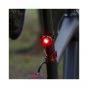 CatEye Orb Front & Rear Light Bulk Box
