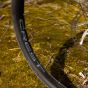 Stans No Tubes Crest S2 29-Inch Rear Wheel