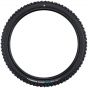 Schwalbe Shredda Gravity Pro Radial TLE 29-Inch Tubeless Rear Tyre